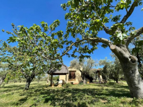 TOSCANA TOUR - Cottage I Ciliegi with aircon, fenced garden